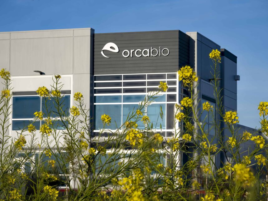 Orca Biocell Isolation Orca Bio | What We Do